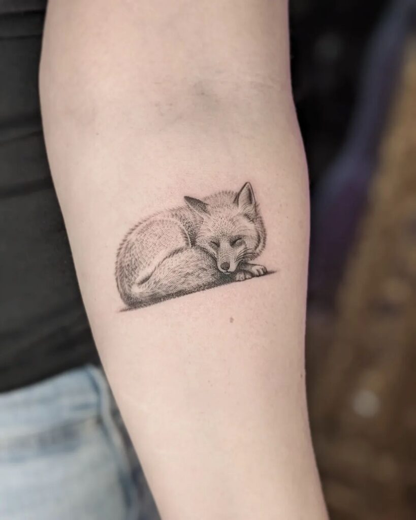 A Little Fox Below the Elbow, Cute and Serene: Snoozy Delight