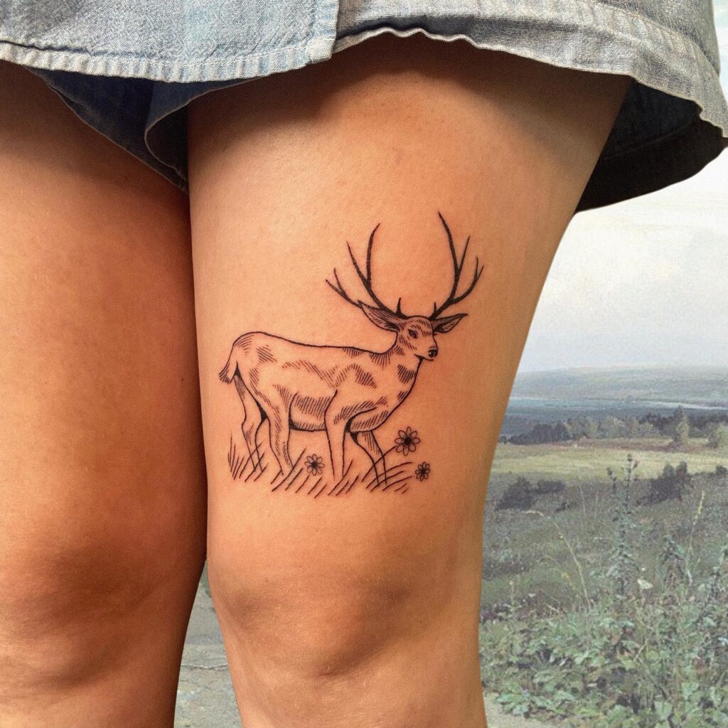 A majestic deer above the knee wilderness wonderland