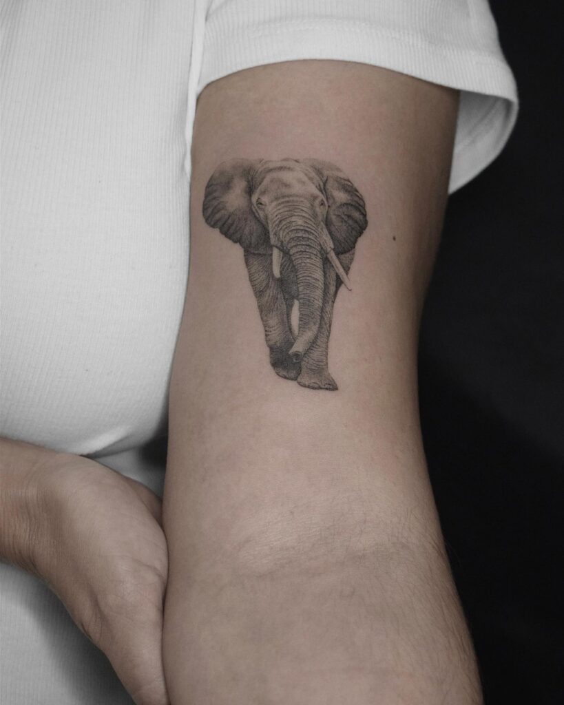 Above the elbow tattoo with large ears: front view majestic elephant