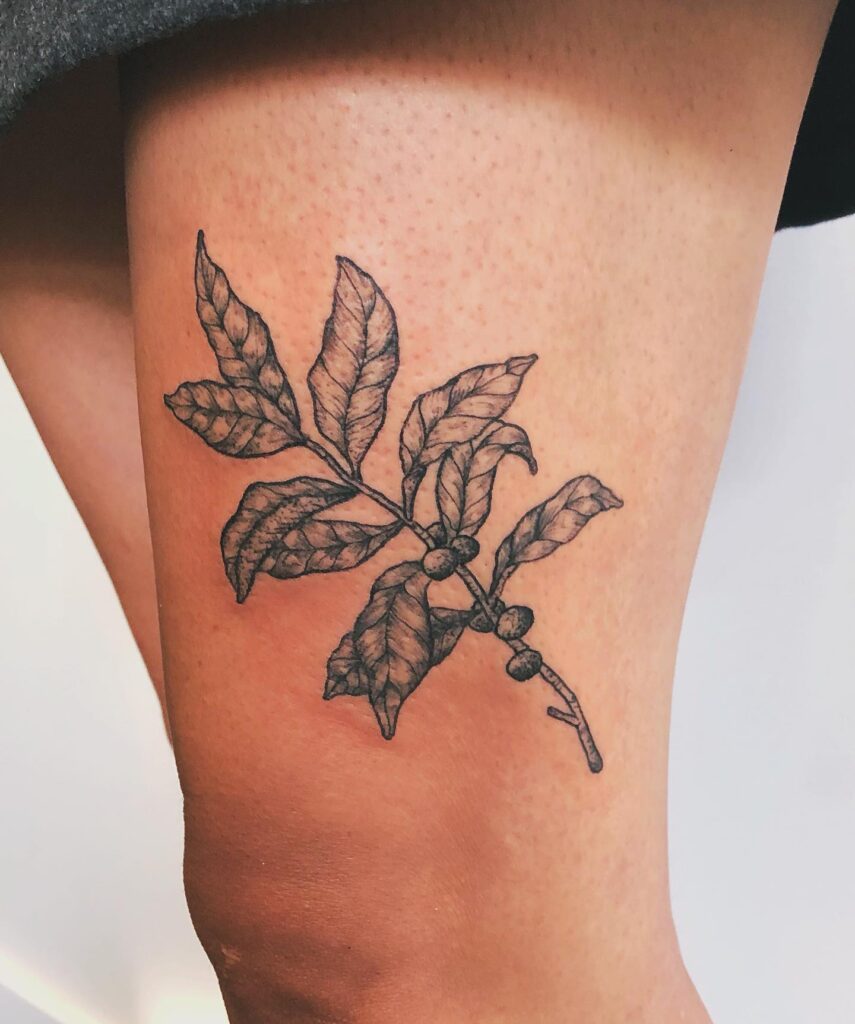 Above-the-knee coffee plant tattoo for coffee lovers
