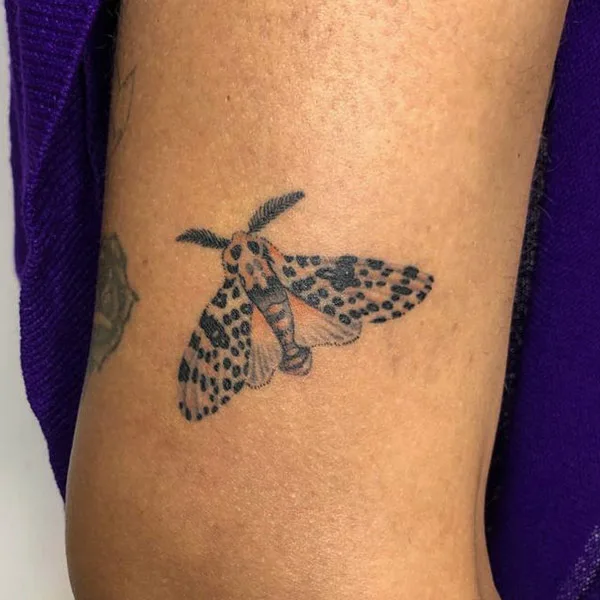 Acherontia Moth Tattoo