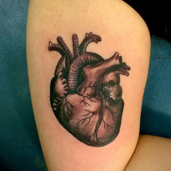Anatomical heart tattoo 1