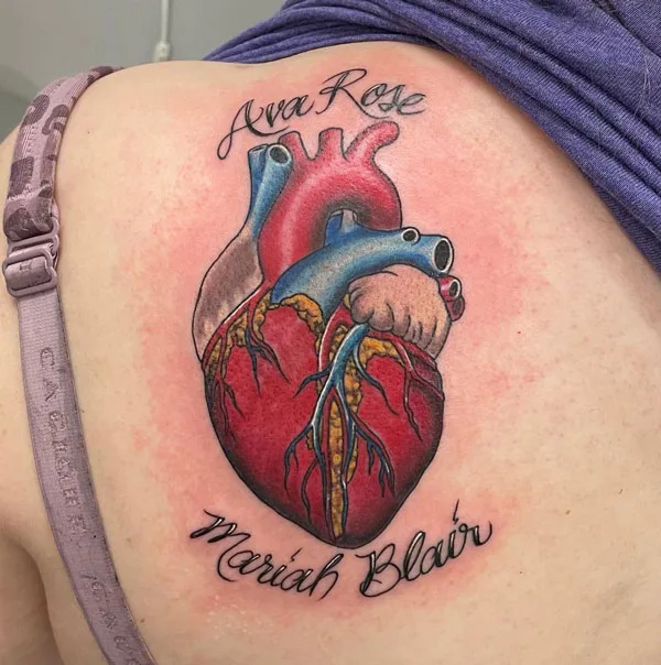 Anatomical heart tattoo 31
