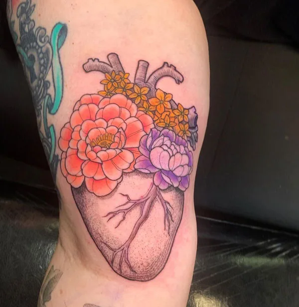 Anatomical heart tattoo 66