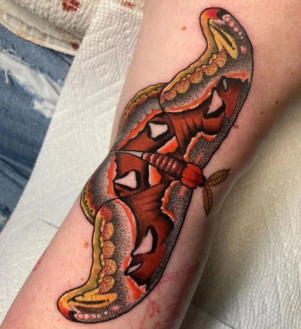 Atlas Moth Tattoo 1