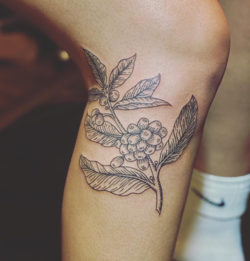 Awesome knee below coffee plant tattoo