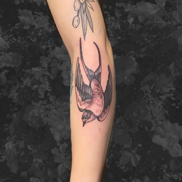 Barn Swallow Tattoo 2