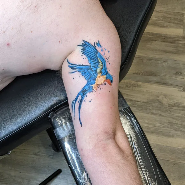 Barn Swallow Tattoo 3