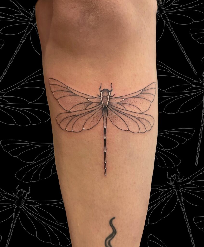 Beautiful outline under knee dragonfly tattoo female