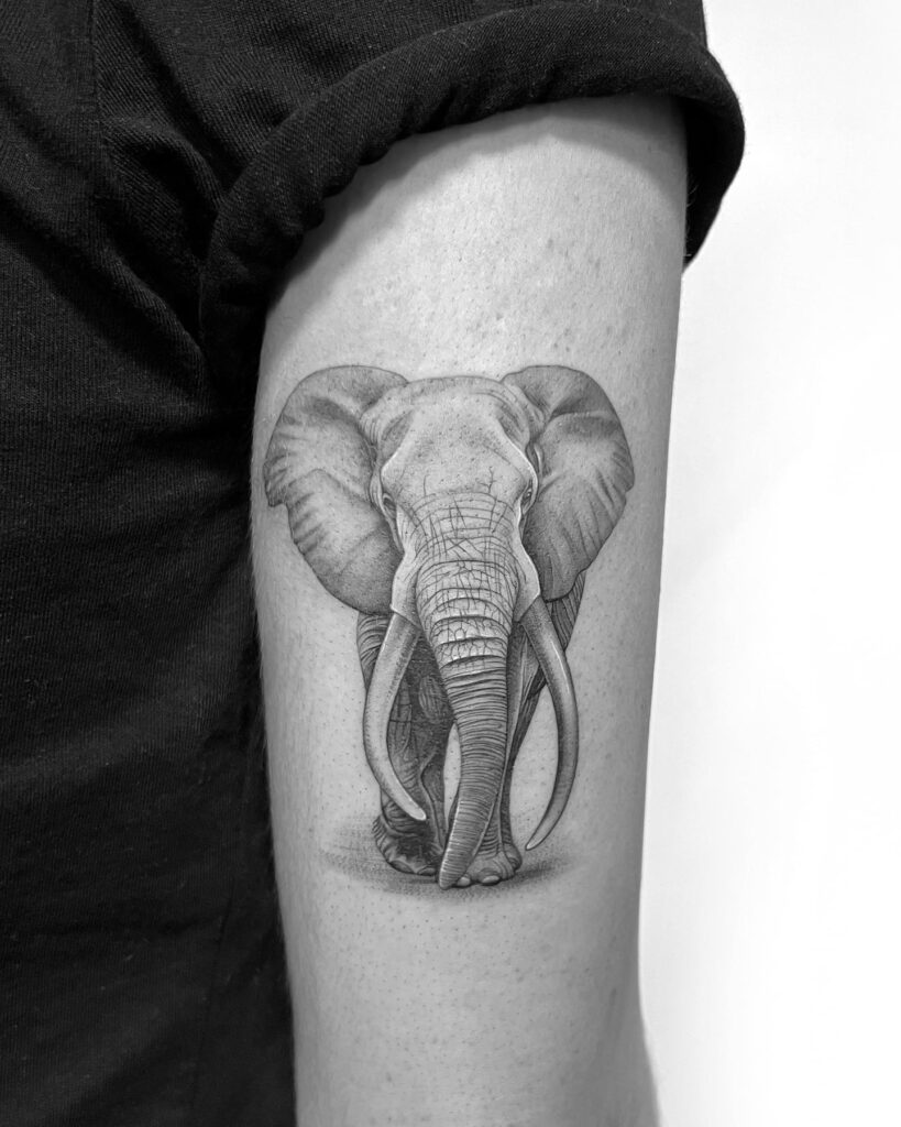 Behind the arm beauty in detail: realistic front view elephant ink