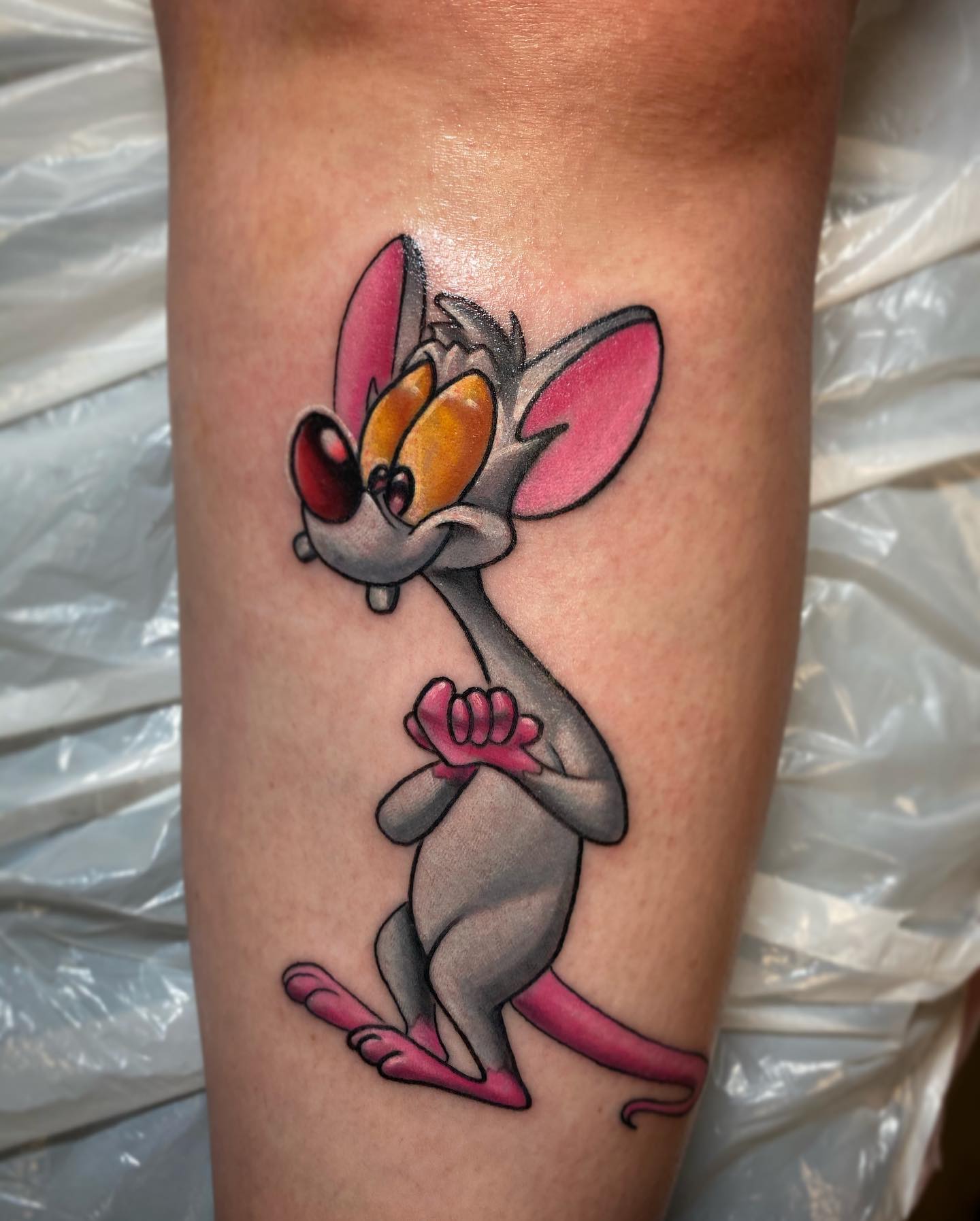 Best Pinky and the Brain tattoo designs for 90s cartoon lovers who appreciate bold colors and nostalgic animation