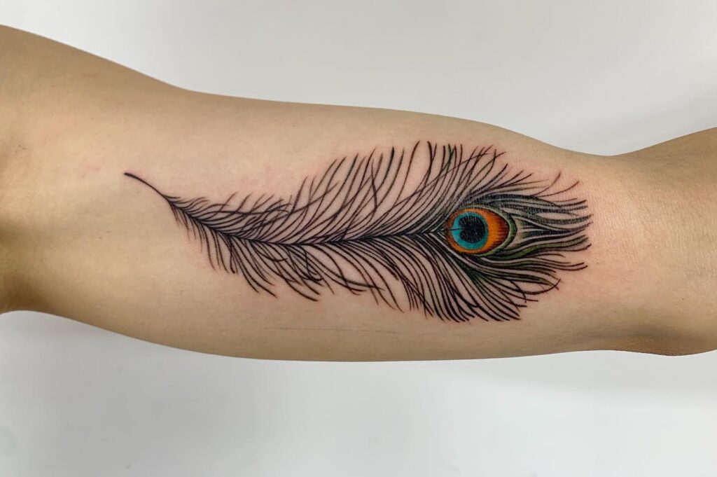 Bicep beauty classy peacock feather tattoo on the inner bicep