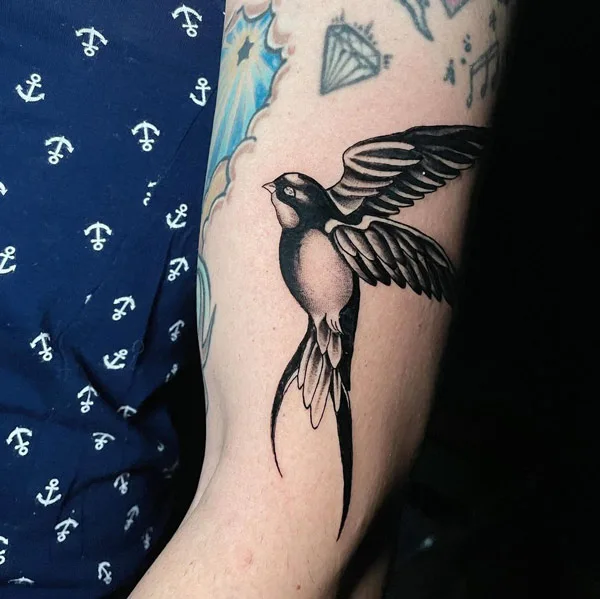 Black Swallow Tattoo 1