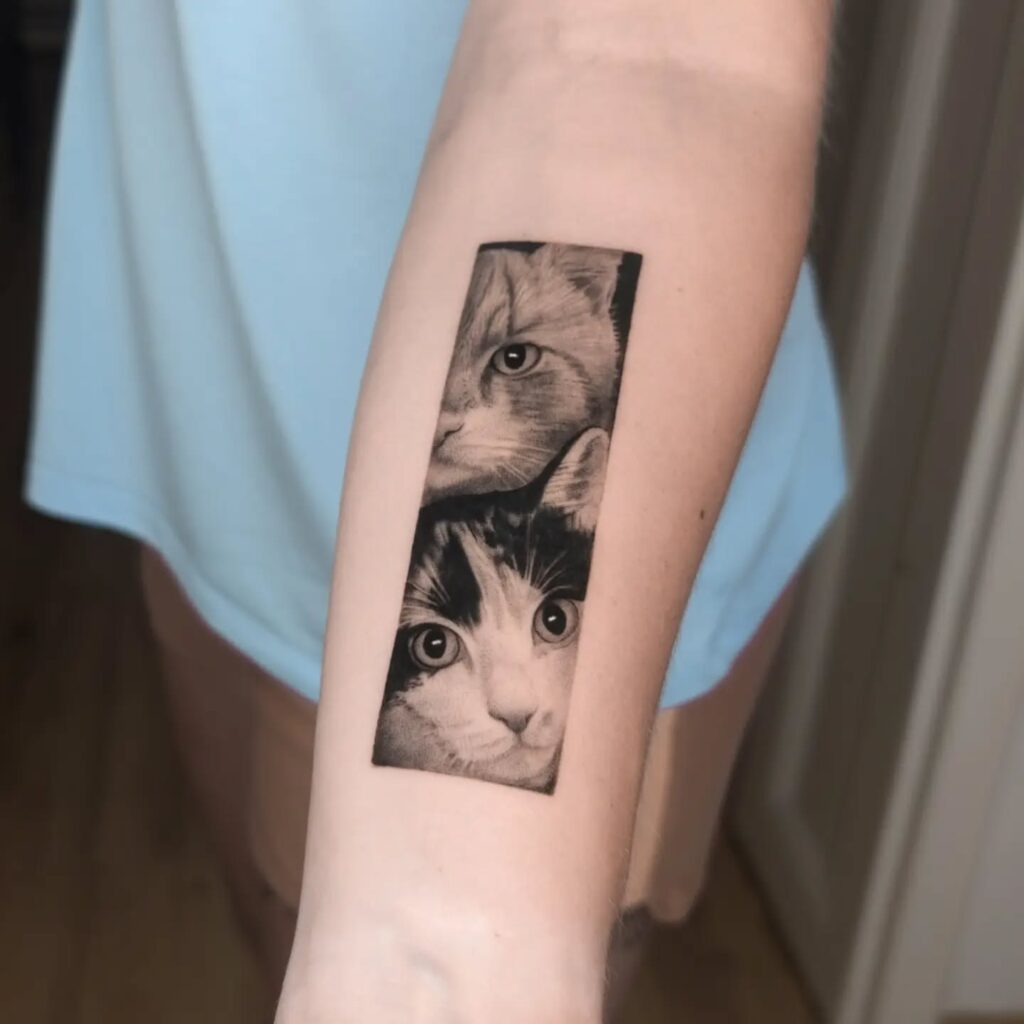 Black and grey cat portrait tattoo in rectangle frame on forearm