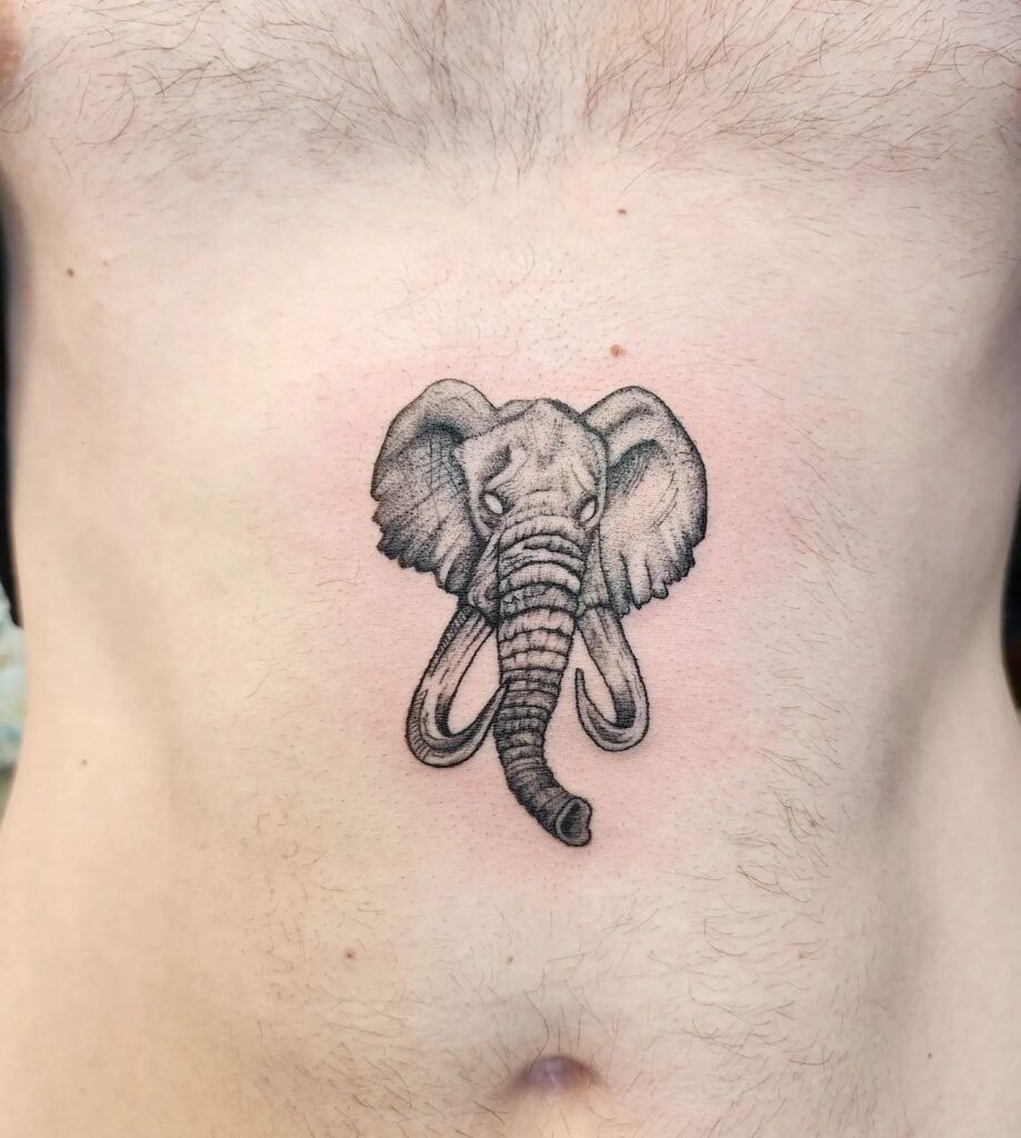 Black and Grey Elephant Head Tattoo with Long Tusk for Men: Stomach Majesty
