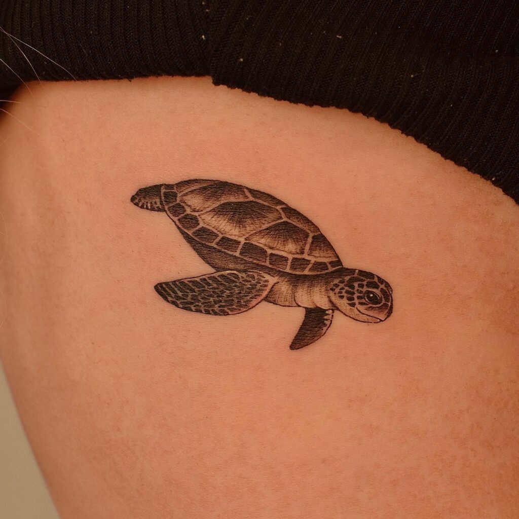 Black and Grey Turtle Side View Ribs Tattoo: Patterned Shell Beauty