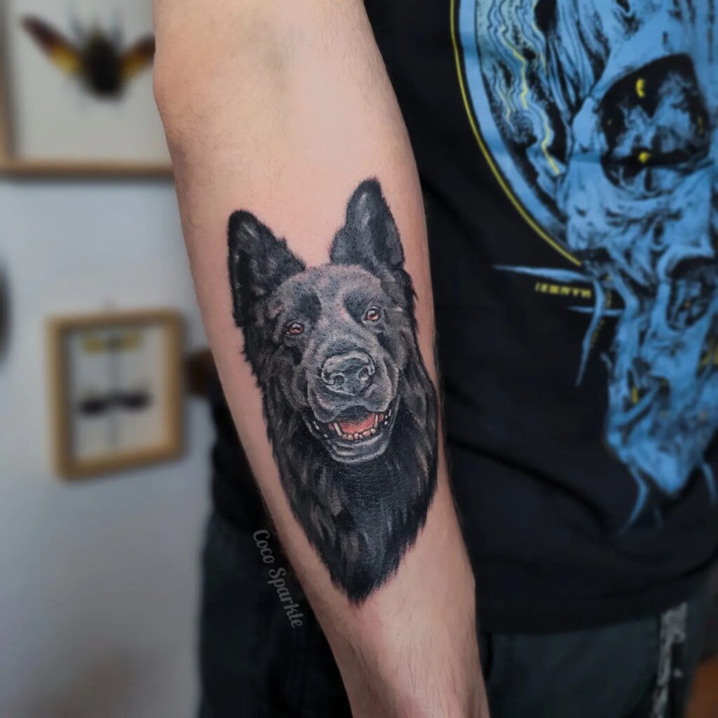 Black Colorful German Shepherd Face Tattoo on the Forearm: Vibrant Vigilance