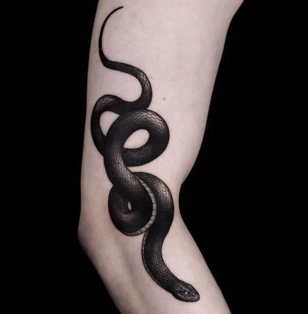 Blackwork Snake Tattoo