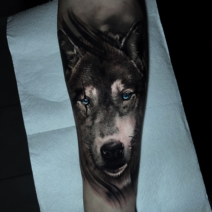 Blue Eyes Shaded Wolf Forearm Tattoos Ideas