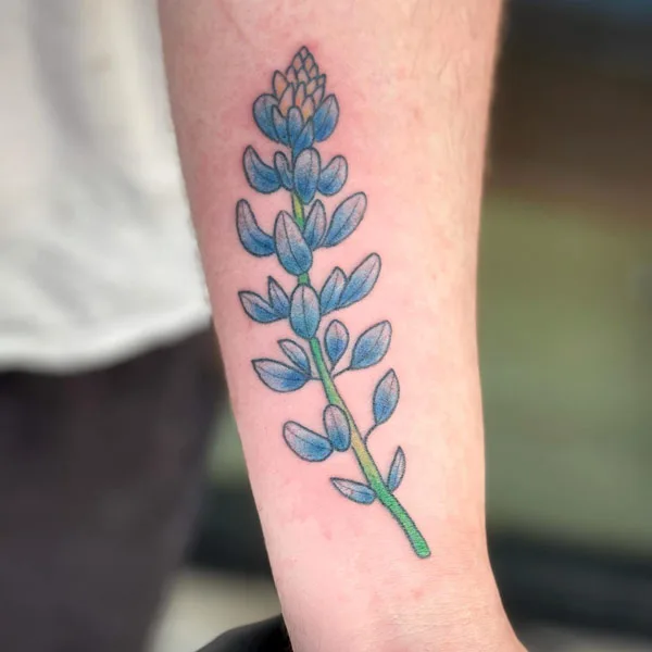 Bluebonnet tattoo 66
