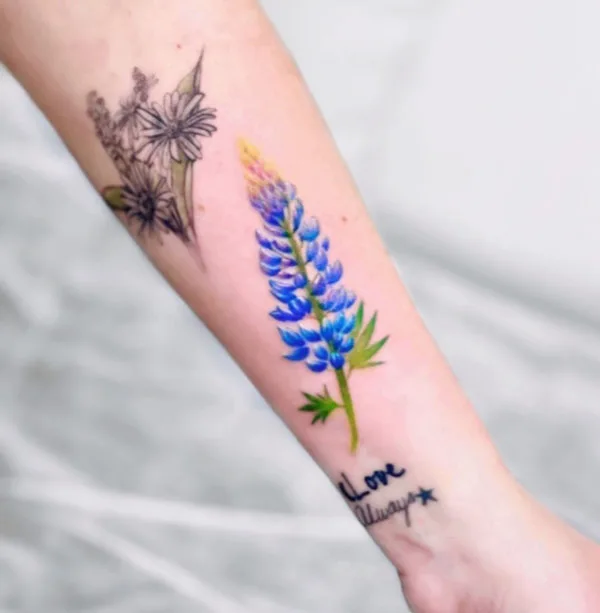 Bluebonnet tattoo 72
