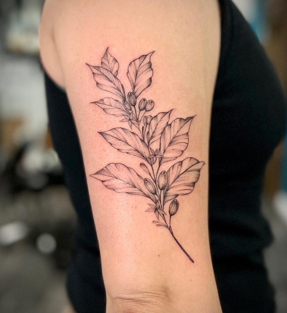 Brewing beauty classy shoulder sleeve coffee plant tattoo for women