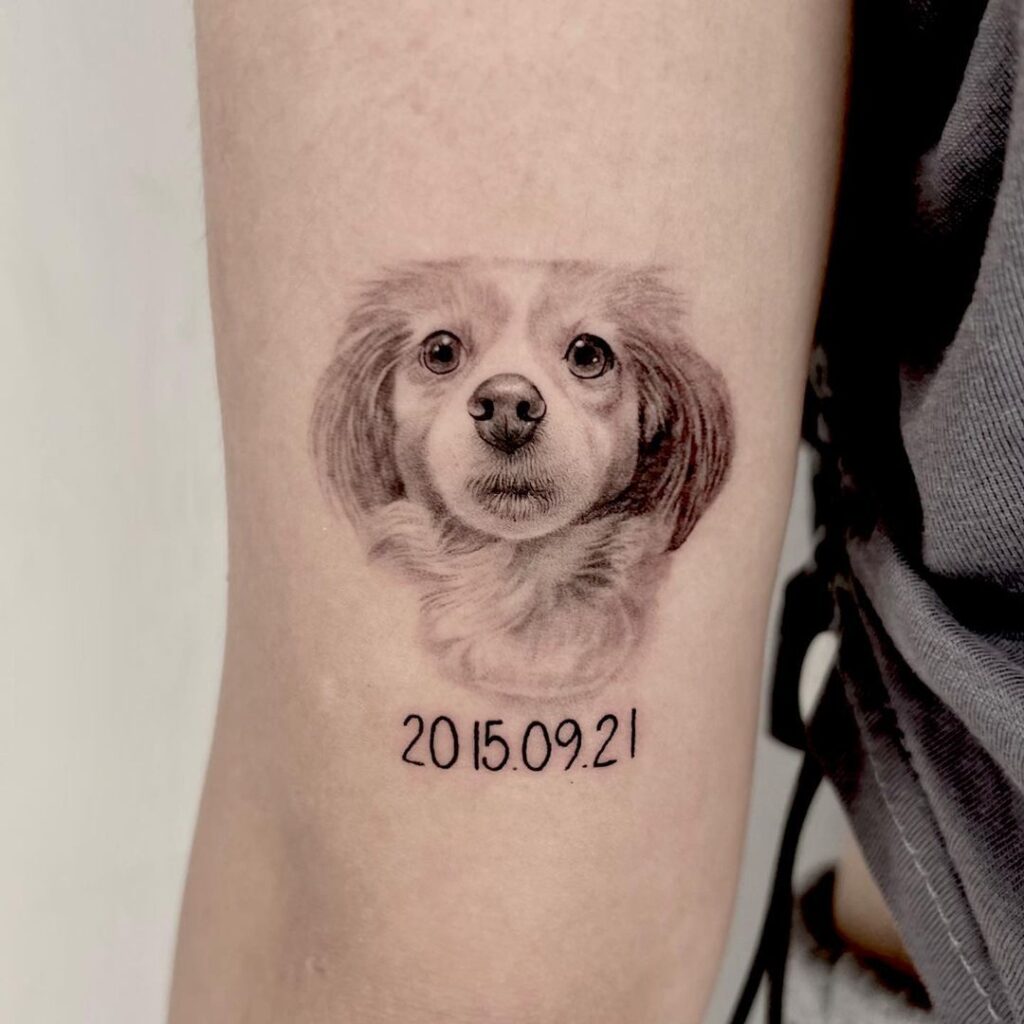 Catdog breed tattoo on the upper arm with date 2015.09.21 catdog chronicle