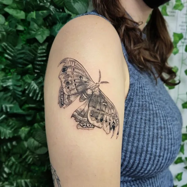 Cecropia Moth Tattoo 1