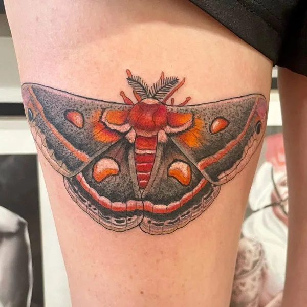 Cecropia Moth Tattoo 2