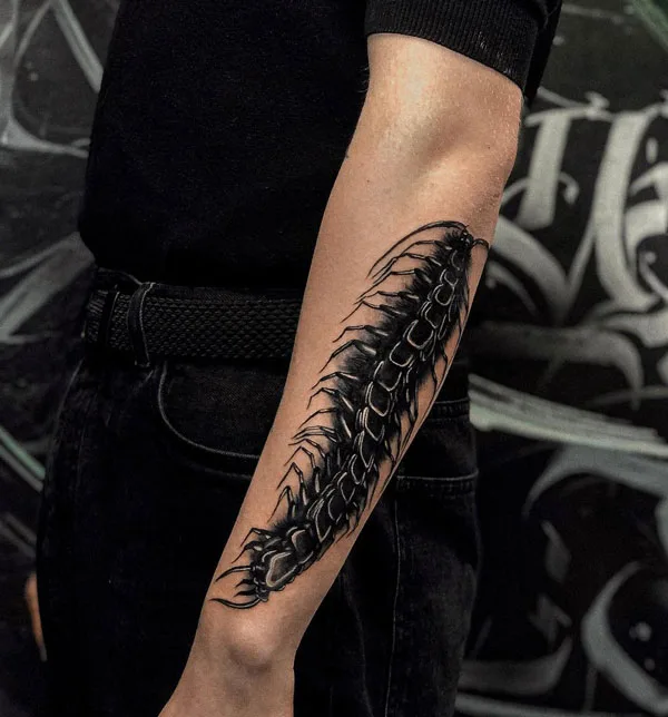 Centipede Tattoo 101