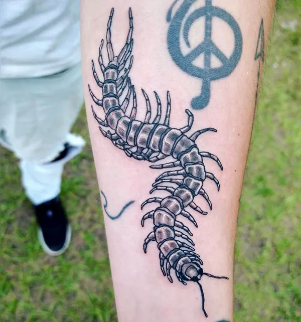 Centipede Tattoo 102