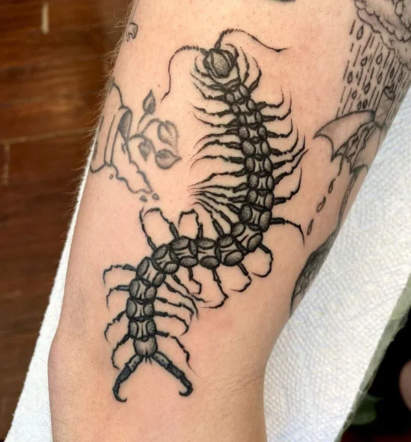 Centipede Tattoo 103