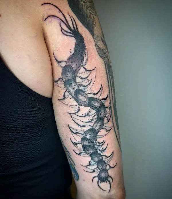 Centipede Tattoo 107