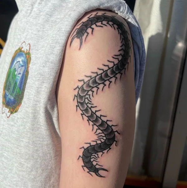 Centipede Tattoo 116