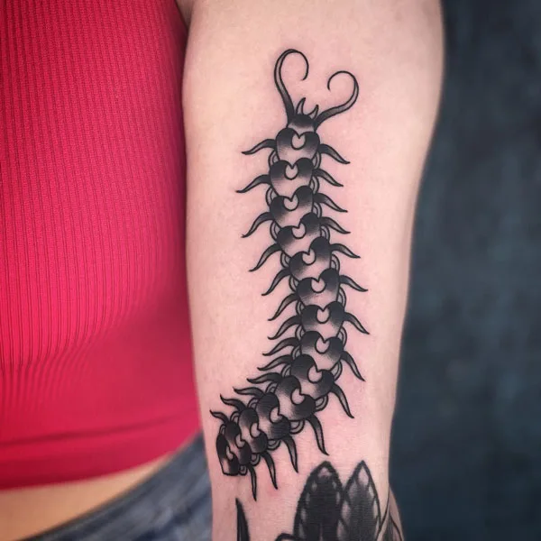 Centipede Tattoo 117