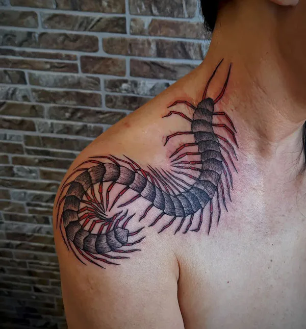 Centipede Tattoo 12