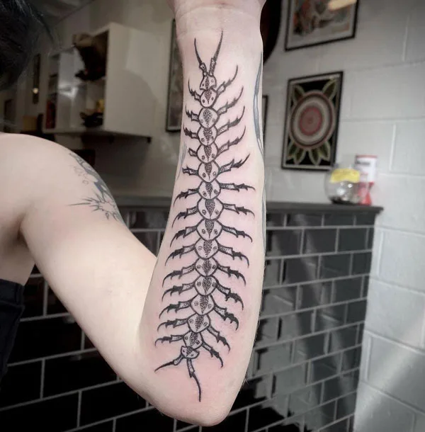 Centipede Tattoo 14