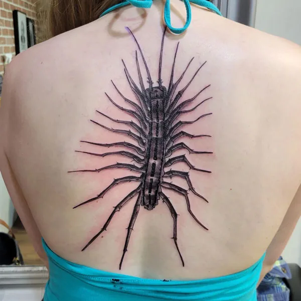 Centipede Tattoo 18