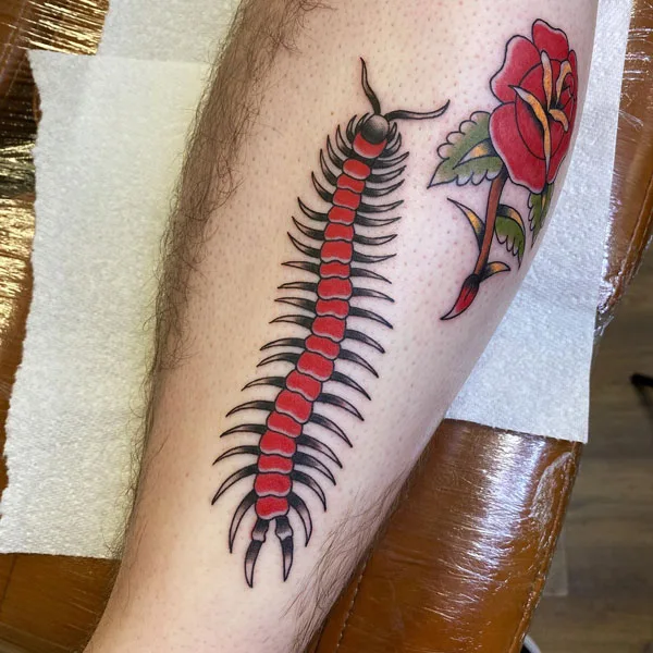 Centipede Tattoo 19