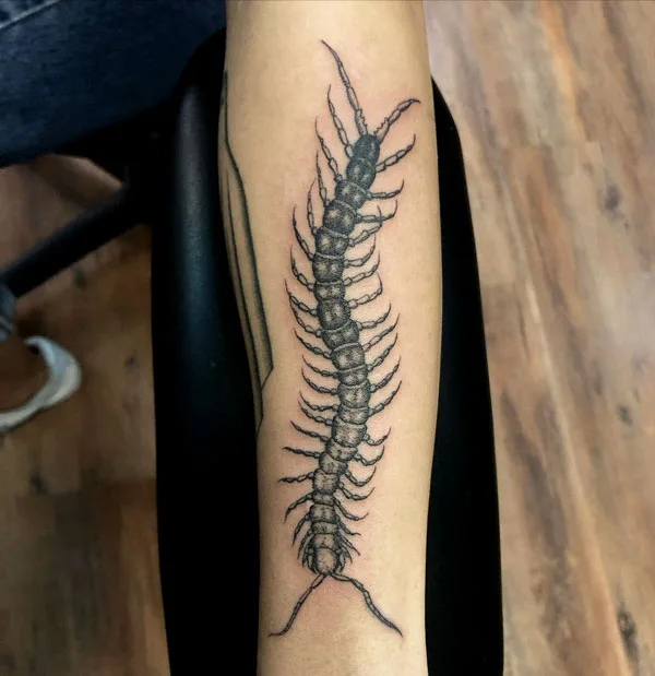 Centipede Tattoo 20