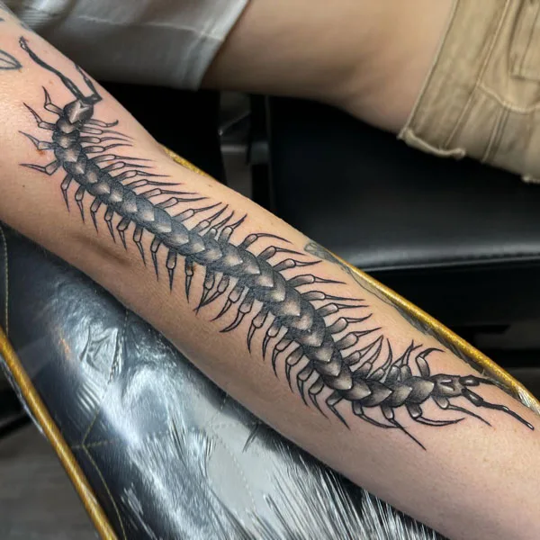 Centipede Tattoo 25