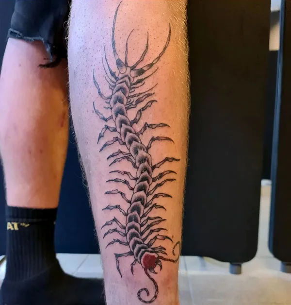 Centipede Tattoo 27