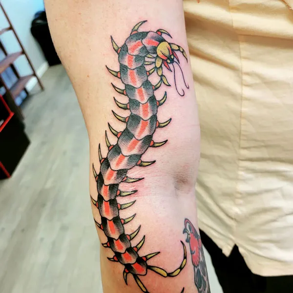 Centipede Tattoo 37