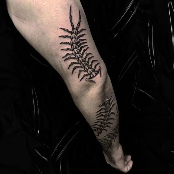 Centipede Tattoo 47