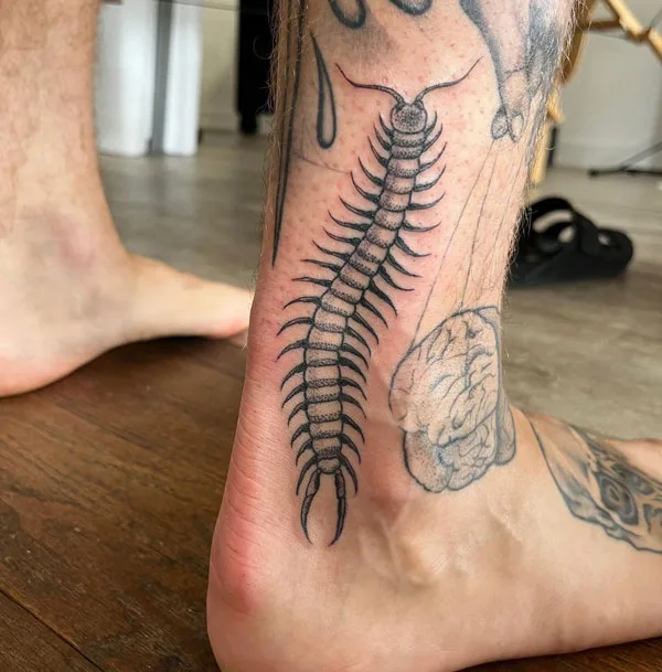 Centipede Tattoo 48