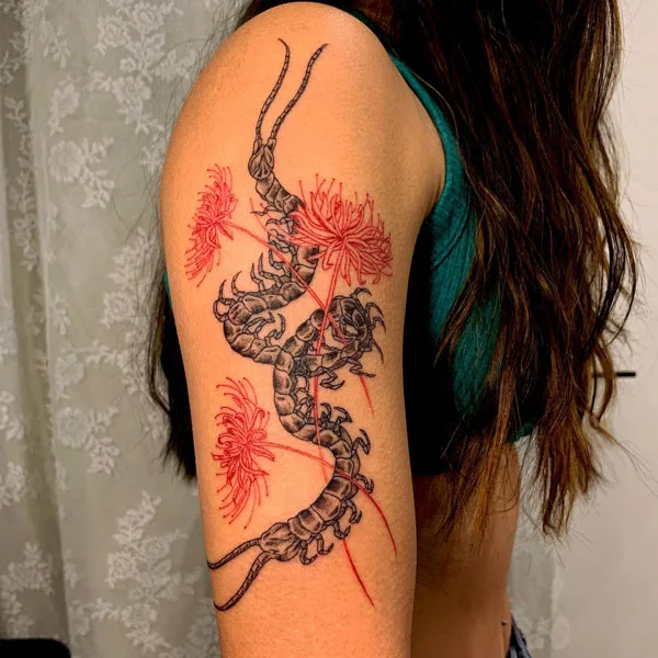 Centipede Tattoo 50
