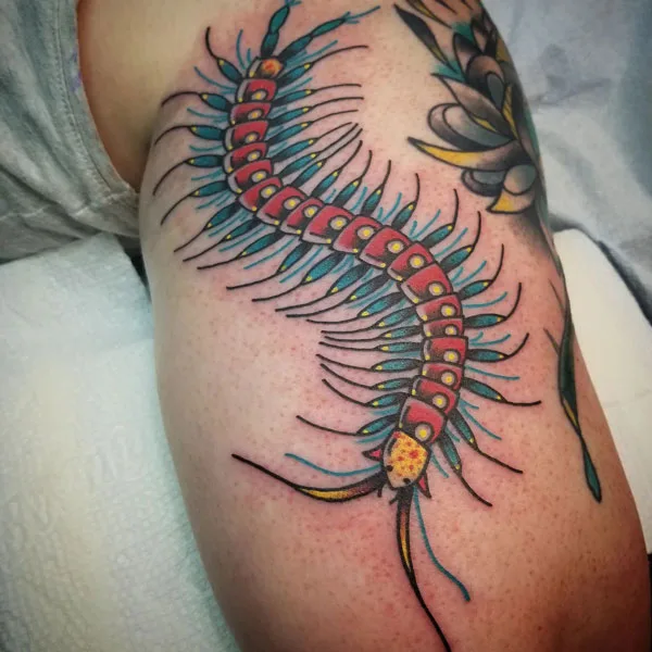 Centipede Tattoo 54