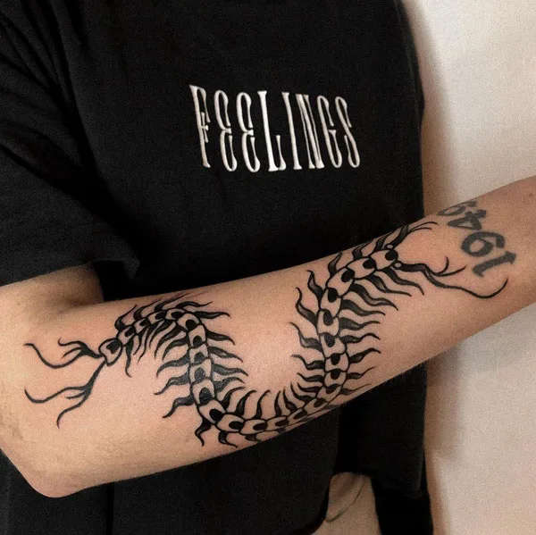 Centipede Tattoo 55