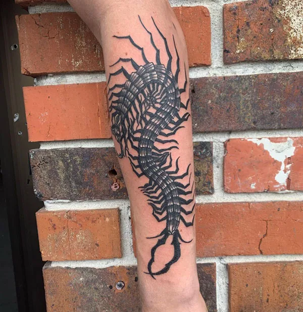 Centipede Tattoo 57