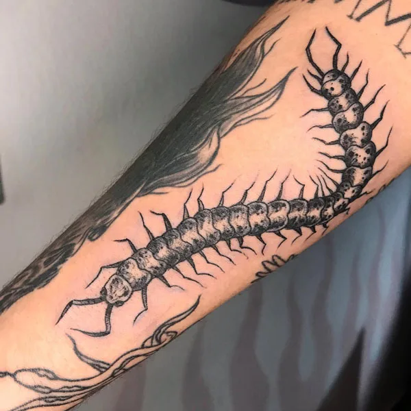 Centipede Tattoo 61